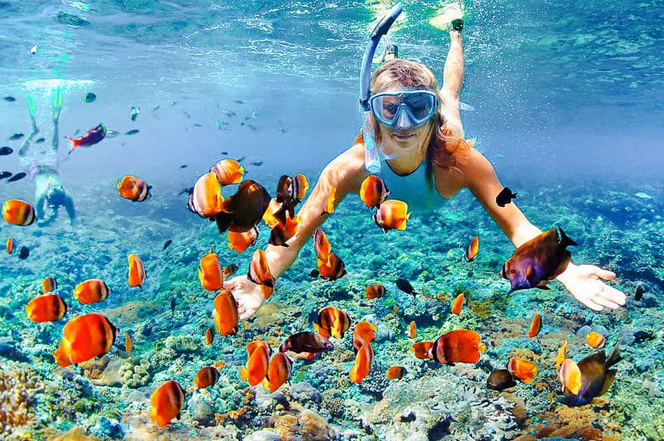 Snorkeler surrounded by colorful tropical fish and coral reef underwater
