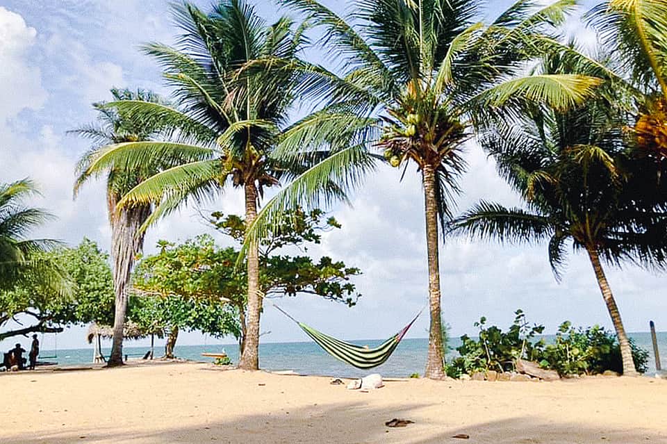 Hammock strung between palm trees on sandy beach with ocean view and tropical vegetation