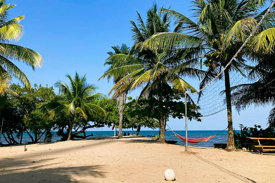 Tropical beach scene with palm trees, sandy shore, hammocks, and ocean view