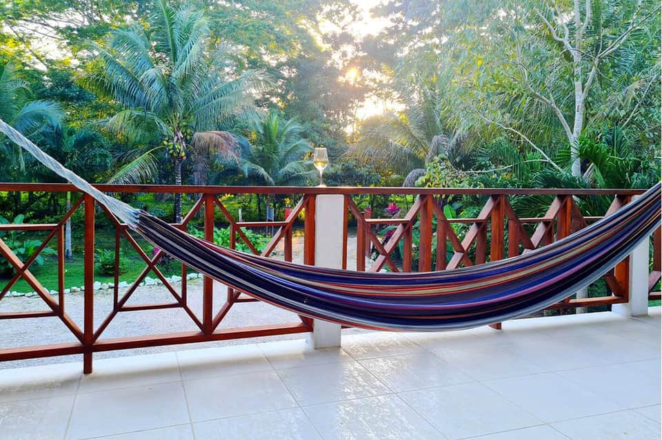 Hammock overlooking tropical garden and palm trees from resort terrace