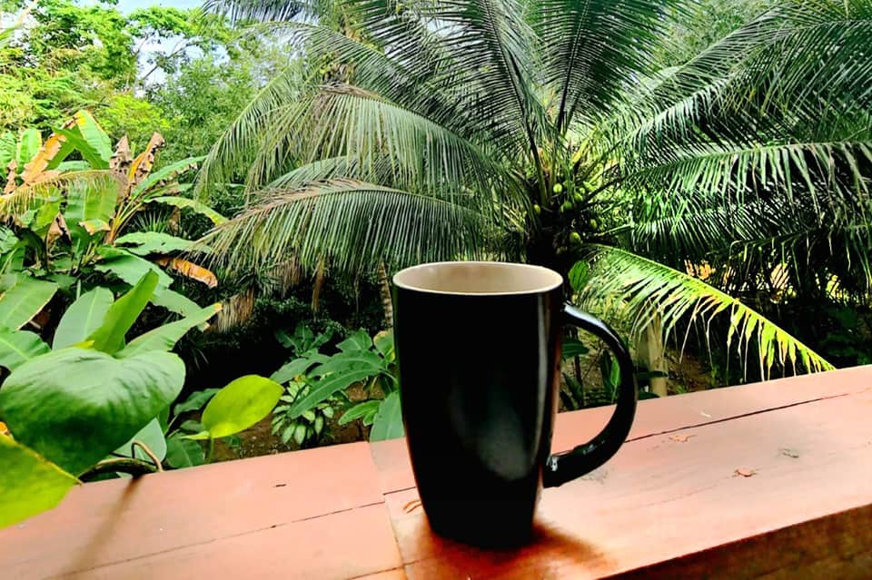 Black coffee mug on wooden deck overlooking lush tropical palm garden foliage