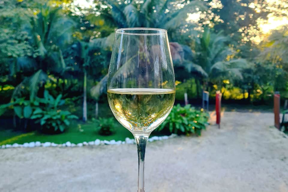 Glass of white wine in lush garden setting with tropical plants and sunshine