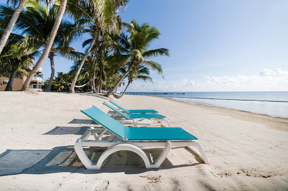 Turquoise beach loungers lined up on sandy beach with palm trees and clear water