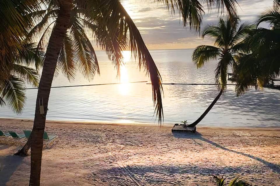 Tropical beach sunset framed by palm trees with calm ocean waters and golden light