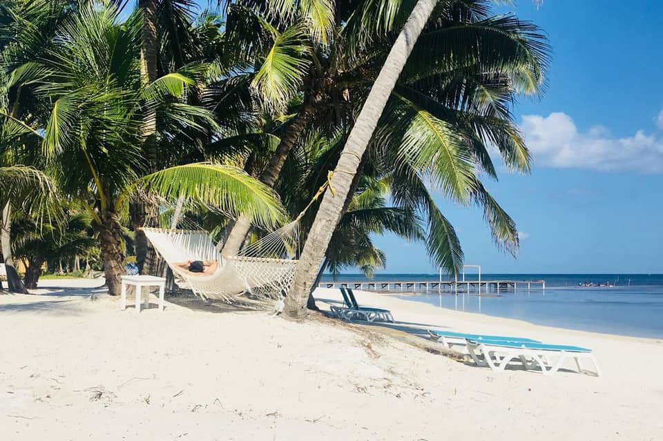 Tropical beach scene with hammock strung between palm trees, white sand, and calm turquoise ocean water