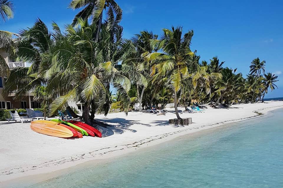 Pristine beach with palm trees, colorful kayaks, and turquoise water