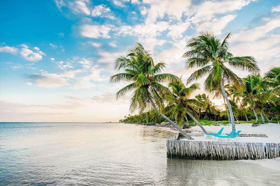 Serene beach with pale sand, turquoise shallow water, palm trees, and clear blue sky
