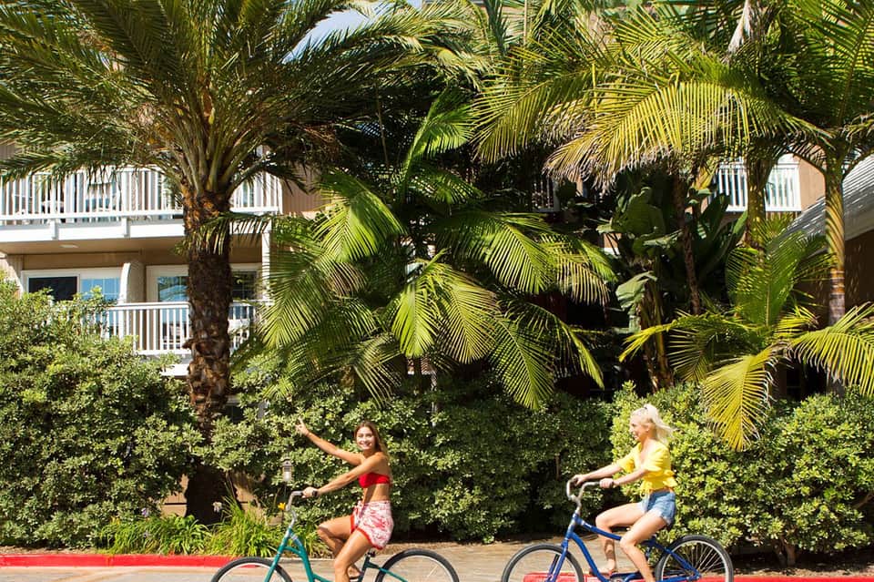 Two women riding blue bicycles on a red path past palm trees and tropical vegetation in front of a resort building