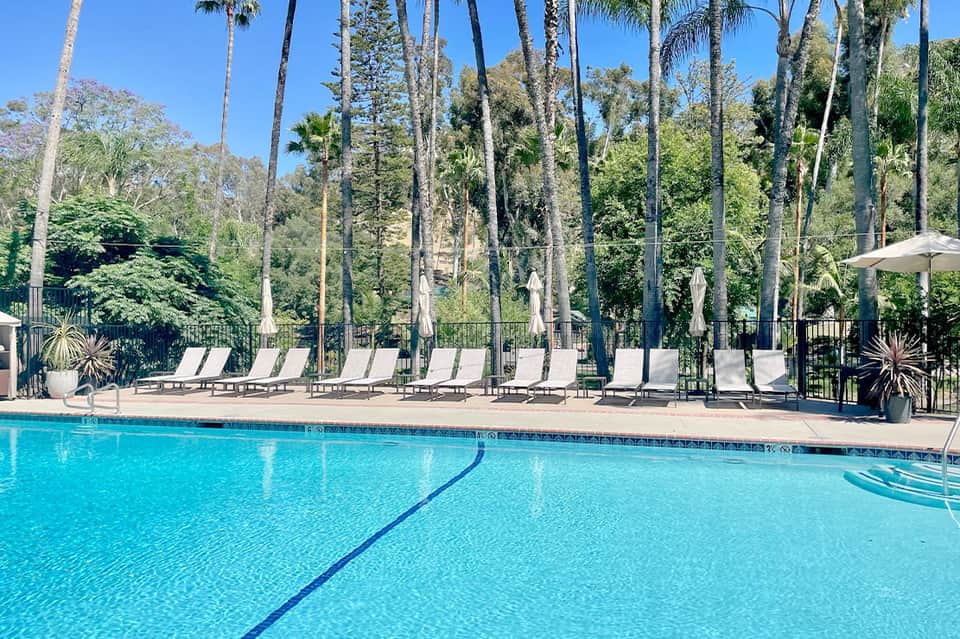 Resort swimming pool surrounded by tall palm trees, white lounge chairs, and umbrellas