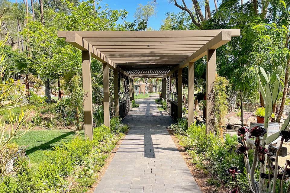 Garden pergola pathway with shade slats, lush greenery, and palm trees on sunny day