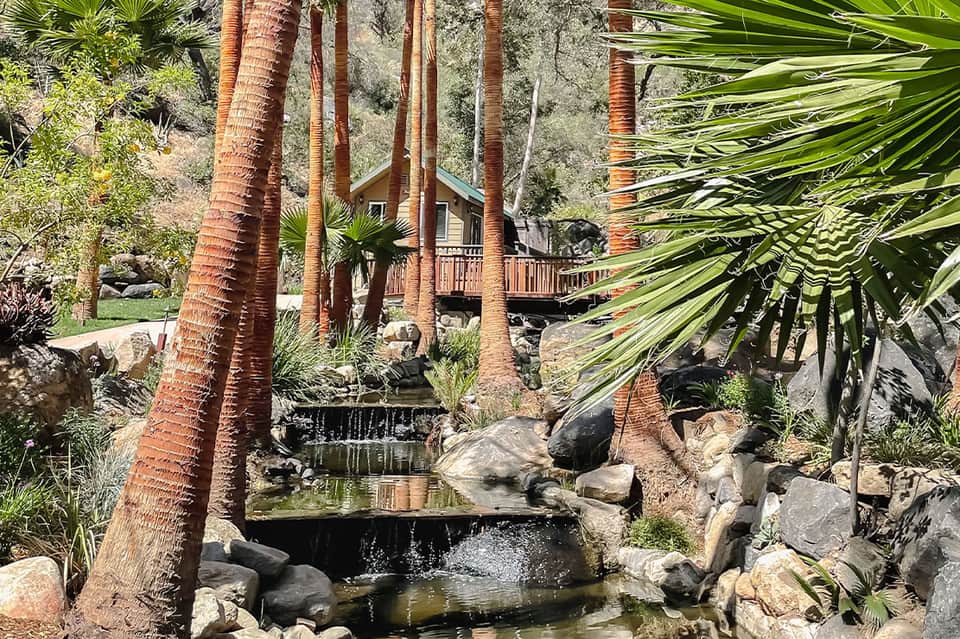 Lush tropical garden with palm trees, stone bridges, and small waterfall near wooden cabin
