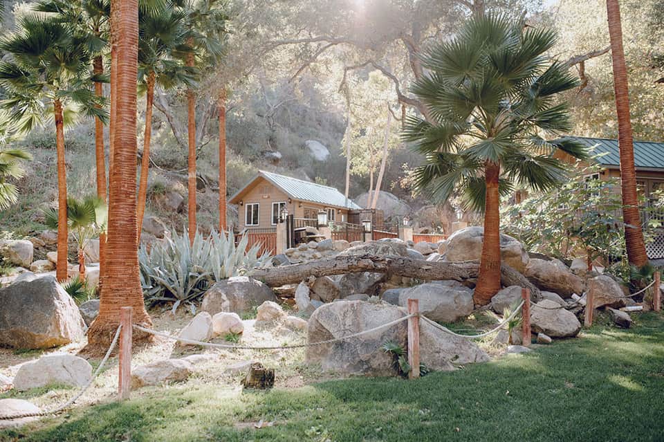 Rustic cabin nestled among palm trees and large boulders in natural setting