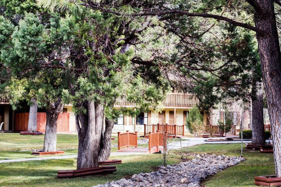 Rustic lodge nestled among tall pine trees with wooden buildings and manicured grounds