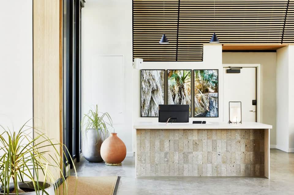 Modern hotel lobby with concrete reception desk, pendant lights, and palm tree décor