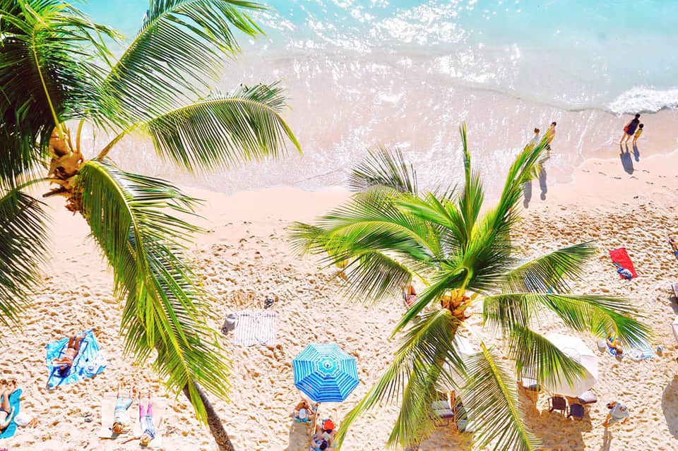 Aerial view of a sunny beach with palm trees, umbrellas, and swimmers