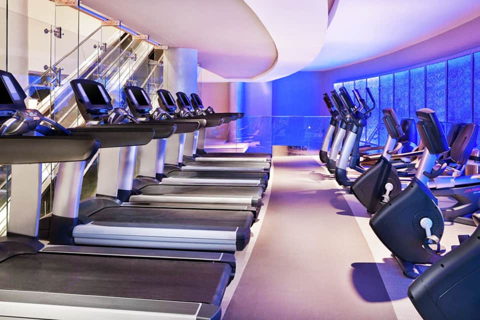 Modern gym with rows of treadmills and exercise bikes overlooking ocean through floor-to-ceiling windows