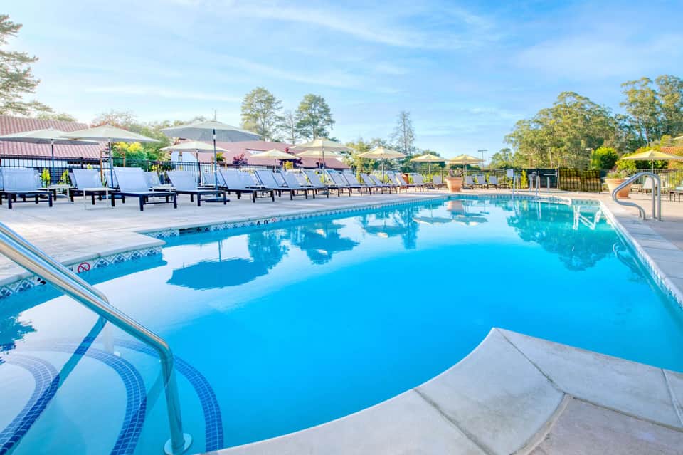 Olympic-sized pool with blue water, black loungers, yellow umbrellas, and surrounding trees under clear sky
