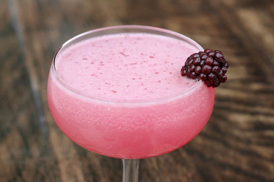 Pink berry cocktail garnished with a blackberry in a coupe glass