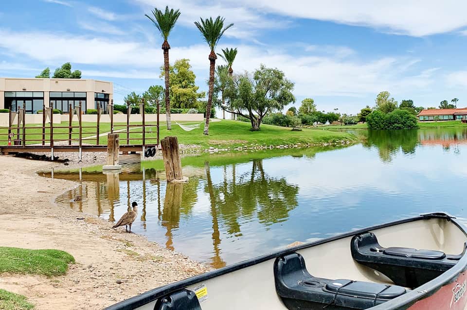 Lakeside dock with boats, palm trees, and grassy grounds near a modern building