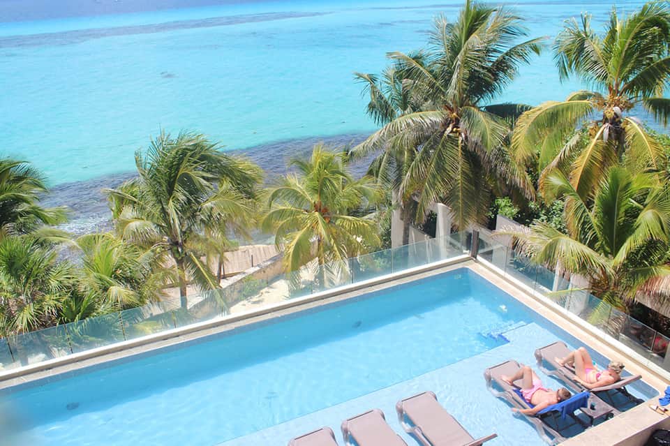 Rooftop infinity pool with ocean view, palm trees, and two guests lounging on chairs