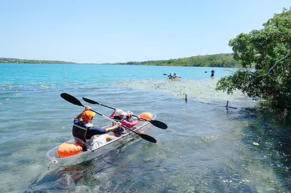 Kayakers paddling in clear tropical waters near mangrove trees with swimmers in background