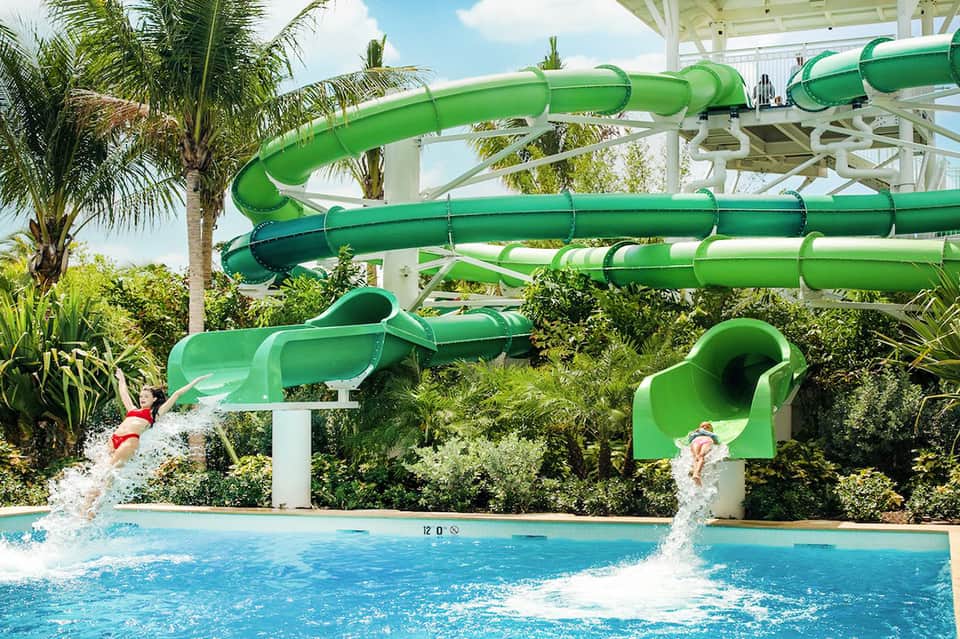 Water slides in bright green spiraling into blue pool with palm trees and tropical vegetation