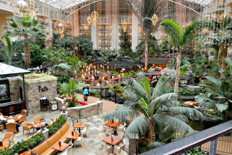 Indoor tropical atrium with lush palms, hanging golden lights, and orange seating areas beneath a glass ceiling
