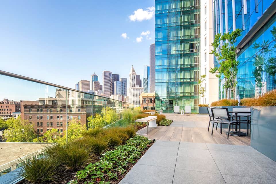 Modern rooftop terrace with city skyline views, contemporary seating, and landscaped gardens