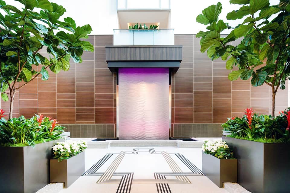 Modern spa entrance with geometric flooring, tropical plants, and minimalist design