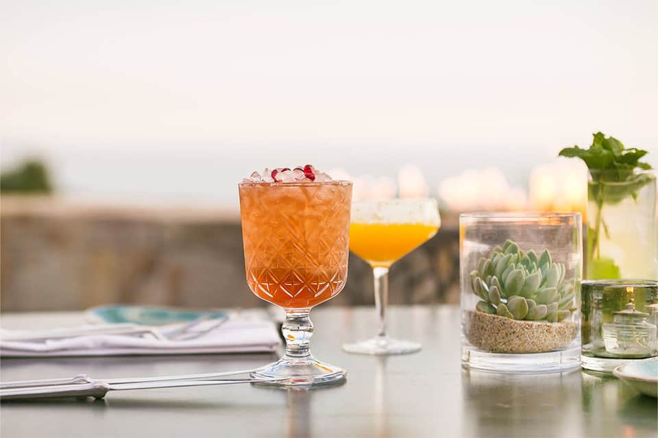 Craft cocktail with ice and fruit garnish on outdoor table with succulents