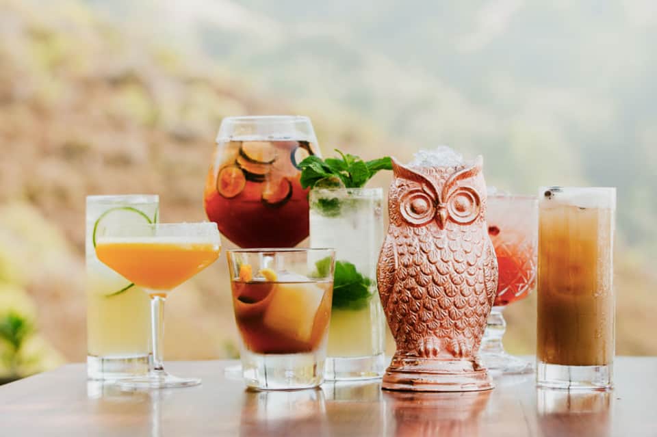 Assorted cocktails and mocktails with fresh garnishes displayed outdoors
