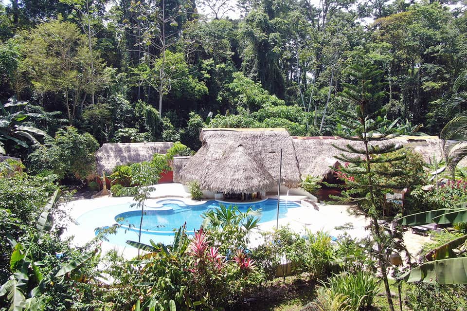 Resort pool nestled in lush jungle with thatched roof structures and tropical landscaping