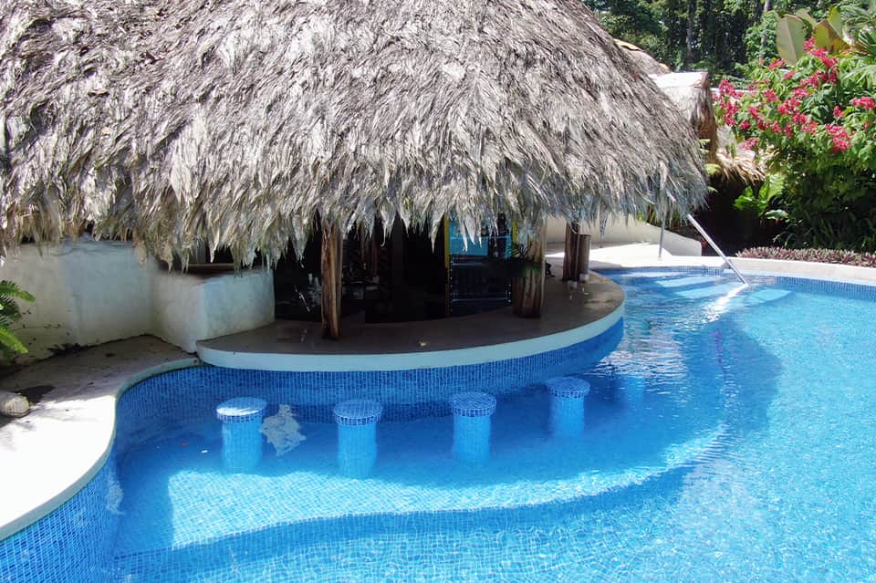 Tropical pool with thatched-roof bar structure, underwater stools, and flowering plants nearby