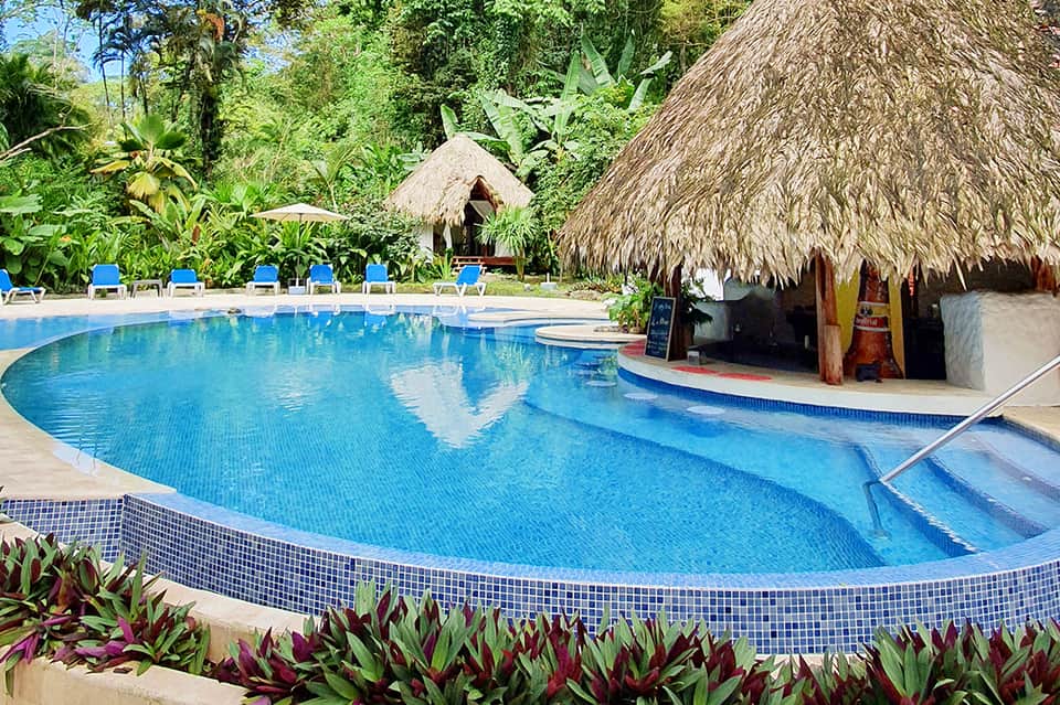 Large curved swimming pool with thatched-roof bar, tropical vegetation, and blue lounge chairs