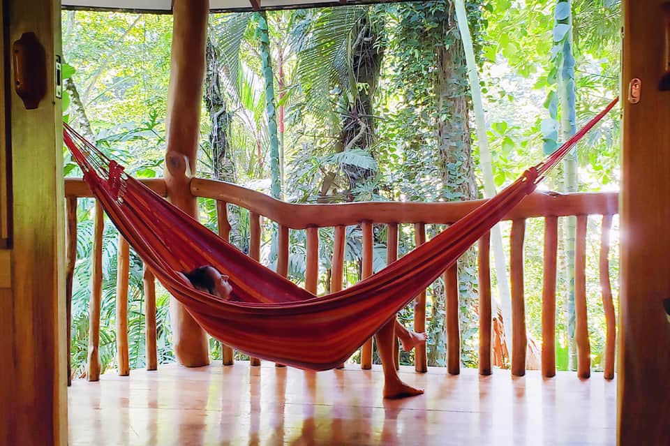 Red hammock on a wooden deck surrounded by lush tropical vegetation and foliage