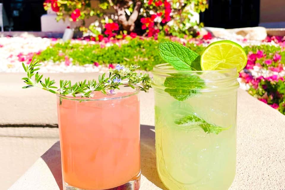 Two colorful cocktails with herb garnishes beside flowering plants in outdoor garden setting