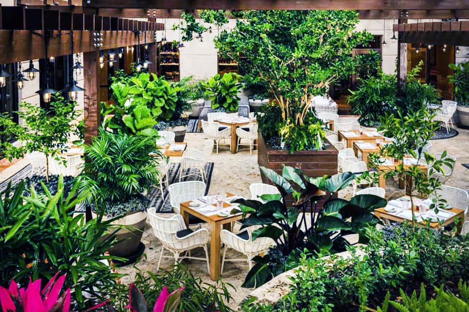 Lush courtyard dining area with green plants, wooden tables, and white chairs