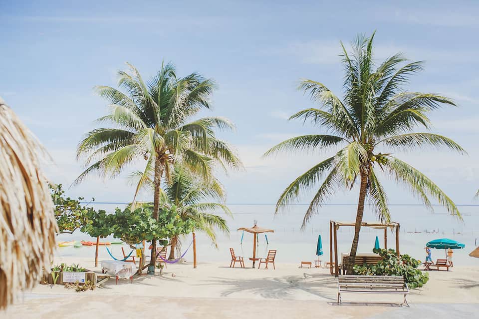 Tropical beach with palm trees, hammocks, umbrellas, and calm ocean water on white sand