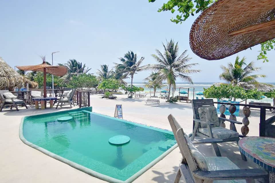 Beachfront resort pool with palm trees and ocean view