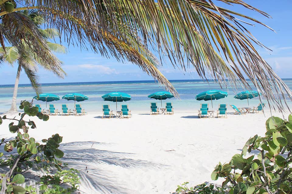 Beach setup with turquoise umbrellas, loungers, and palm trees framing pristine white sand and ocean