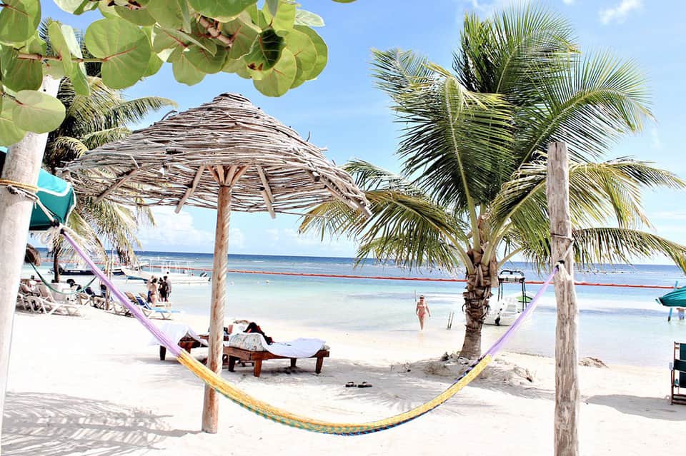 Tropical beach scene with palm trees, tiki umbrella, hammock, and clear ocean water