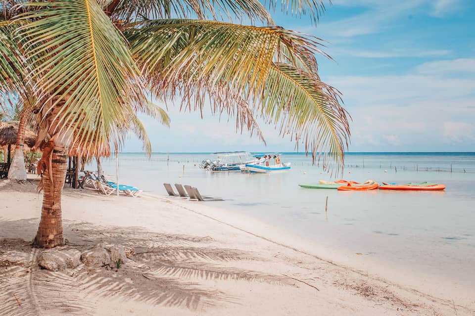 Tropical beach with palm tree, colorful fishing boats in shallow turquoise water under clear sky