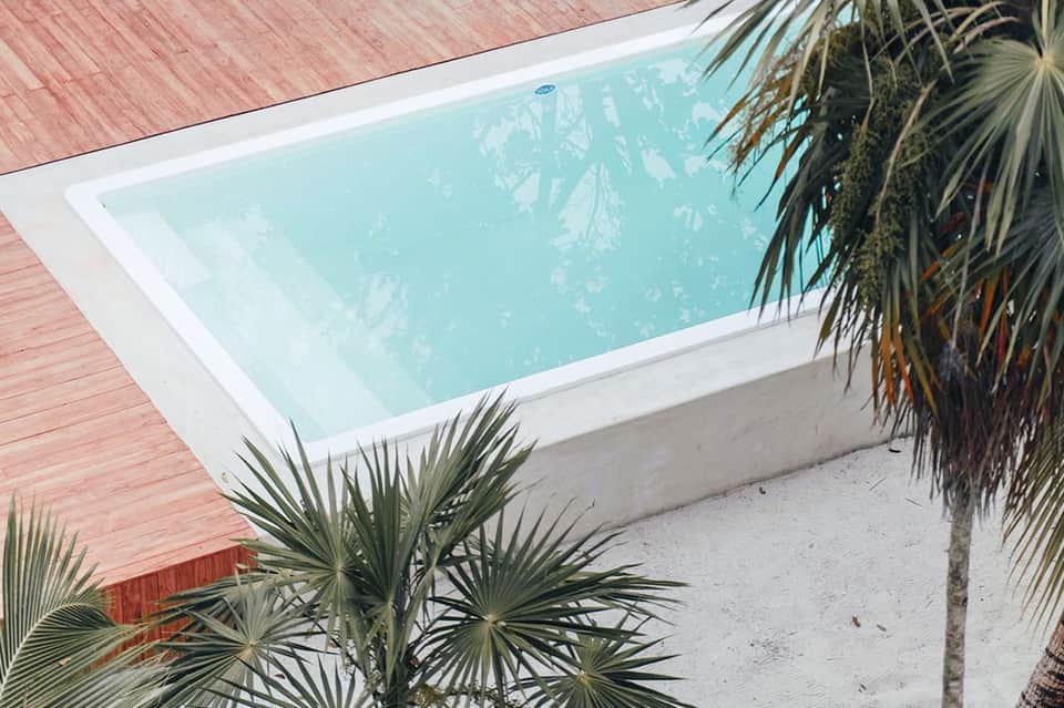 Aerial view of rectangular swimming pool with white border surrounded by palm trees