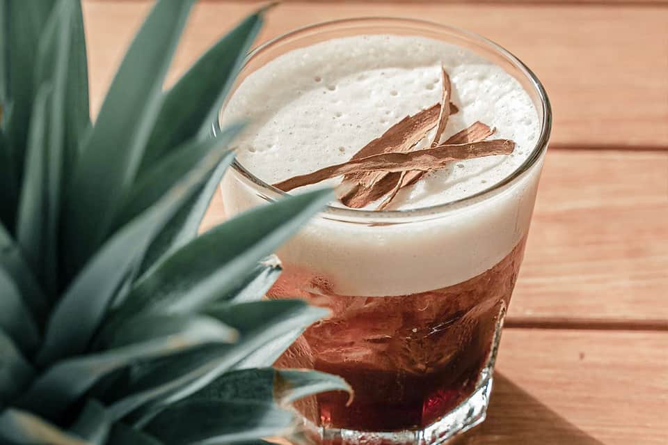 Layered cocktail with chocolate garnish and creamy top next to agave plant on wooden surface