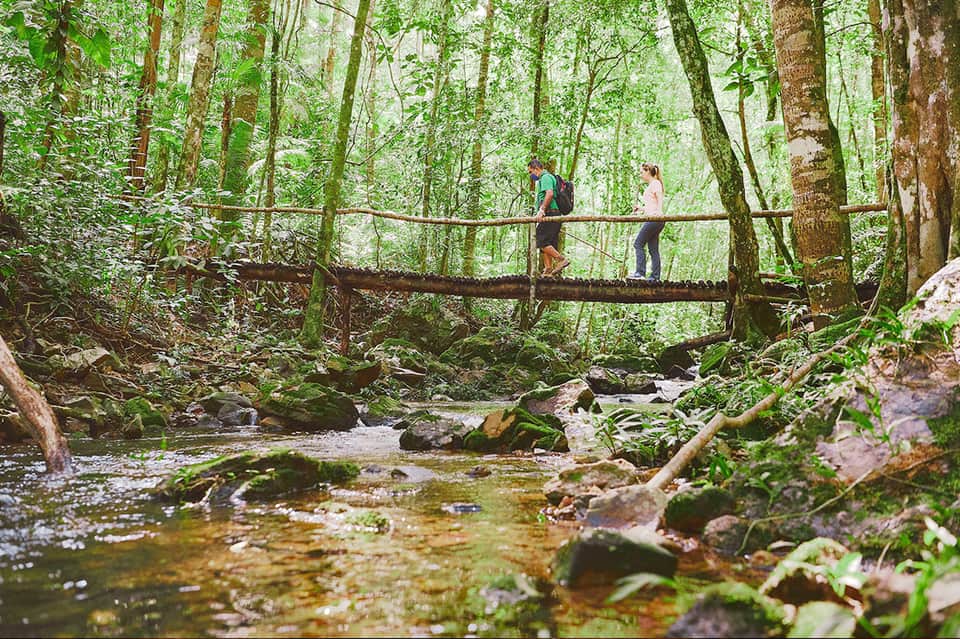 Hikers on wooden bridge crossing a stream in lush forest