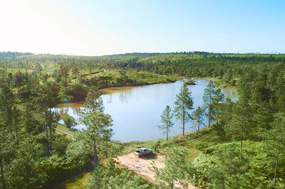 Aerial view of dense forest with winding river, sandy beach, and parked vehicle