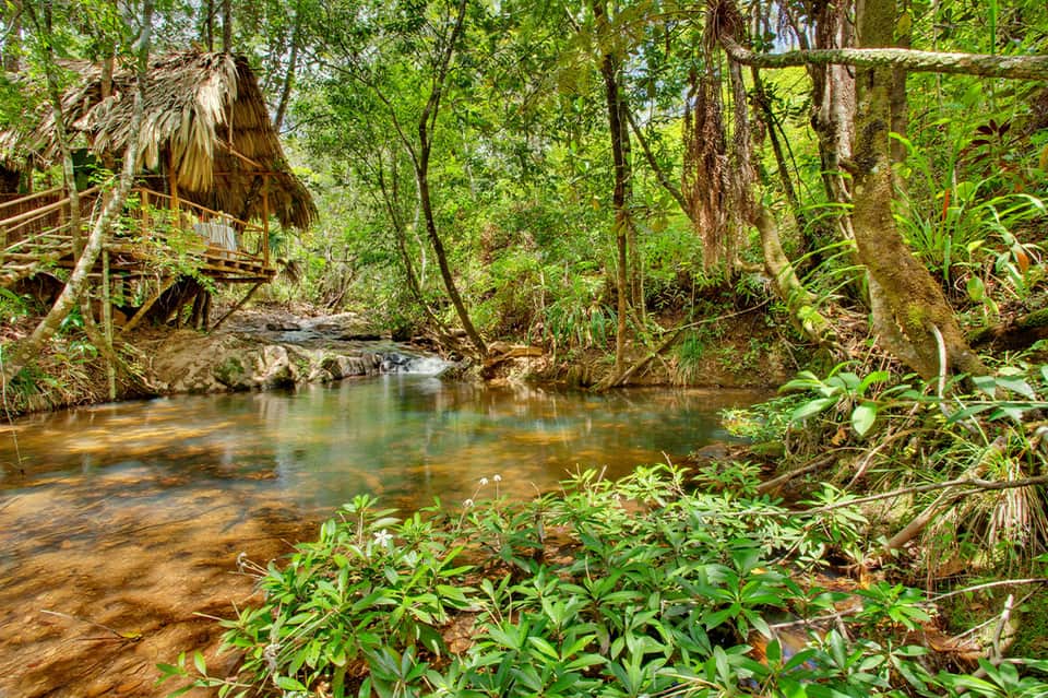 Tropical forest stream with thatched-roof structure and lush green vegetation surrounding calm flowing water