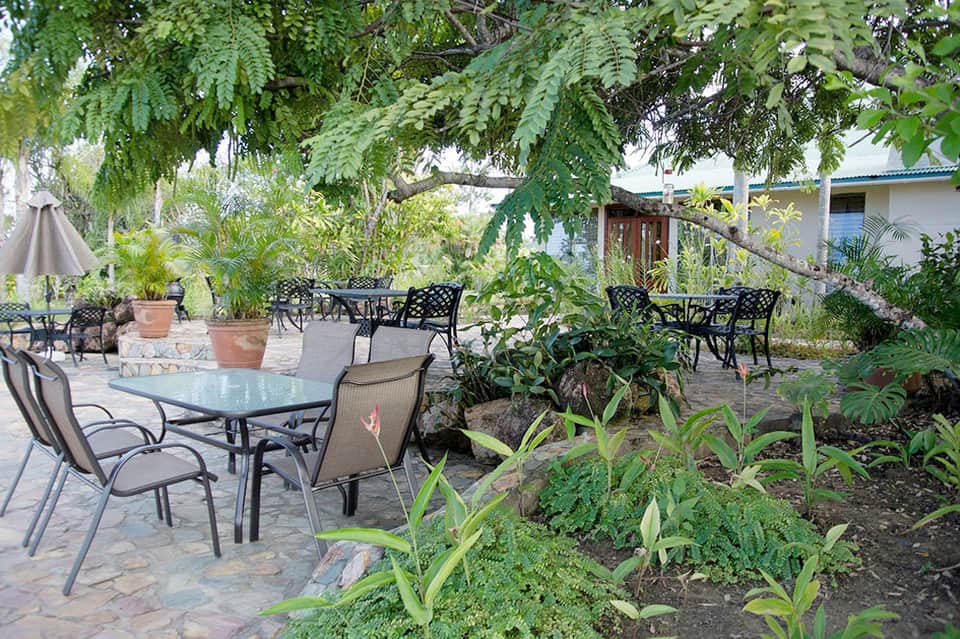 Outdoor patio dining area with metal tables and chairs surrounded by lush tropical plants and trees