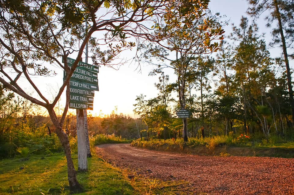 Hiking trail sign at sunset with directional markers in wooded natural area