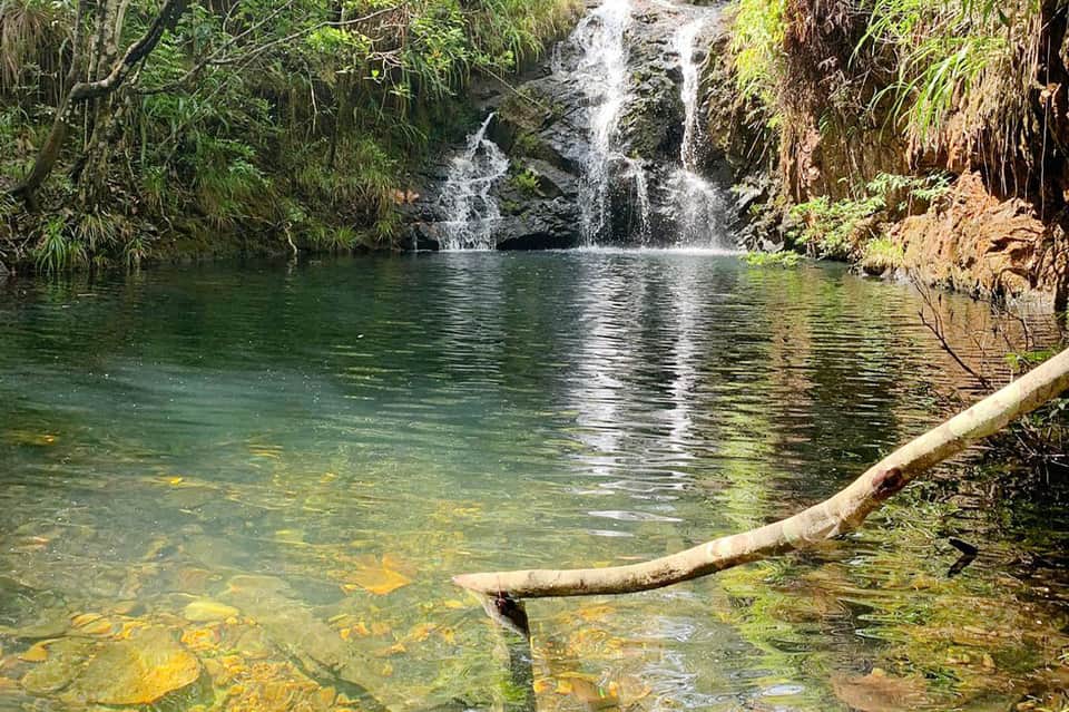 Natural waterfall cascading into emerald pool surrounded by dense tropical vegetation